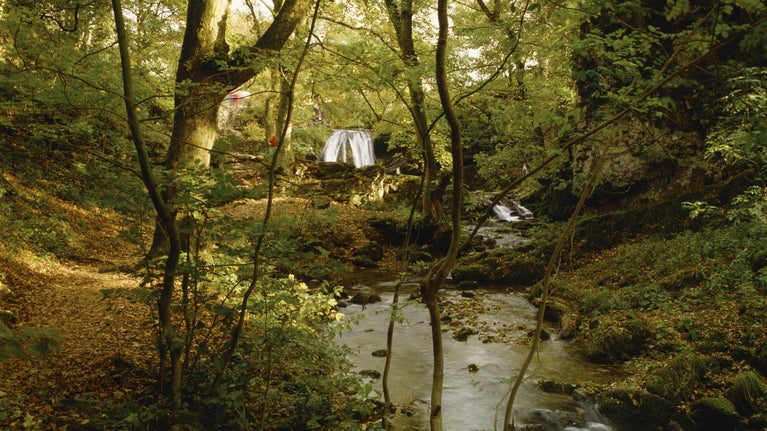 Janet's Foss wetland site on the Malham Tarn Estate in the Yorkshire Dales in autumn